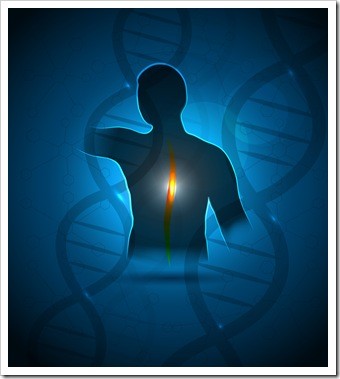 Chiropractor Sioux Falls SD Health Solutions